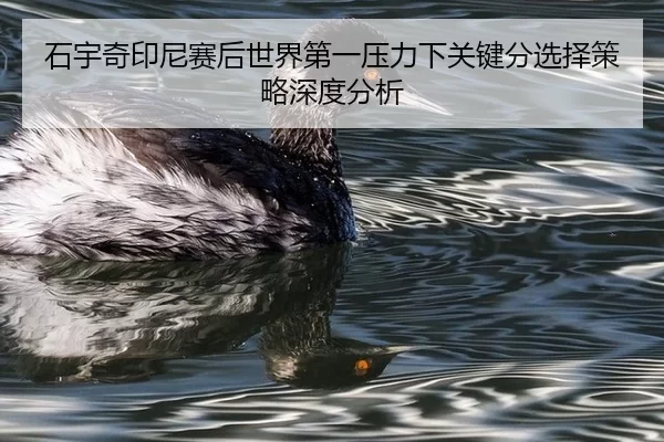 shi-yu-qi-yin-ni-sai-hou-shi-jie-di-yi-ya-li-xia-guan-jian-fen-xuan-ze-ce-lve-shen-du-fen-xi-2-450.jpg